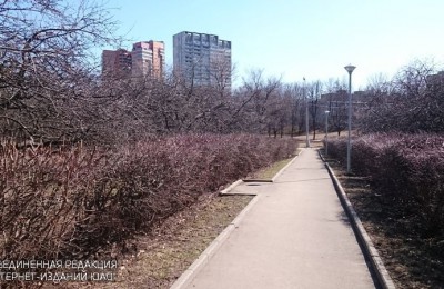 В Парке 30-летия Победы проведут благоустройство до конца августа